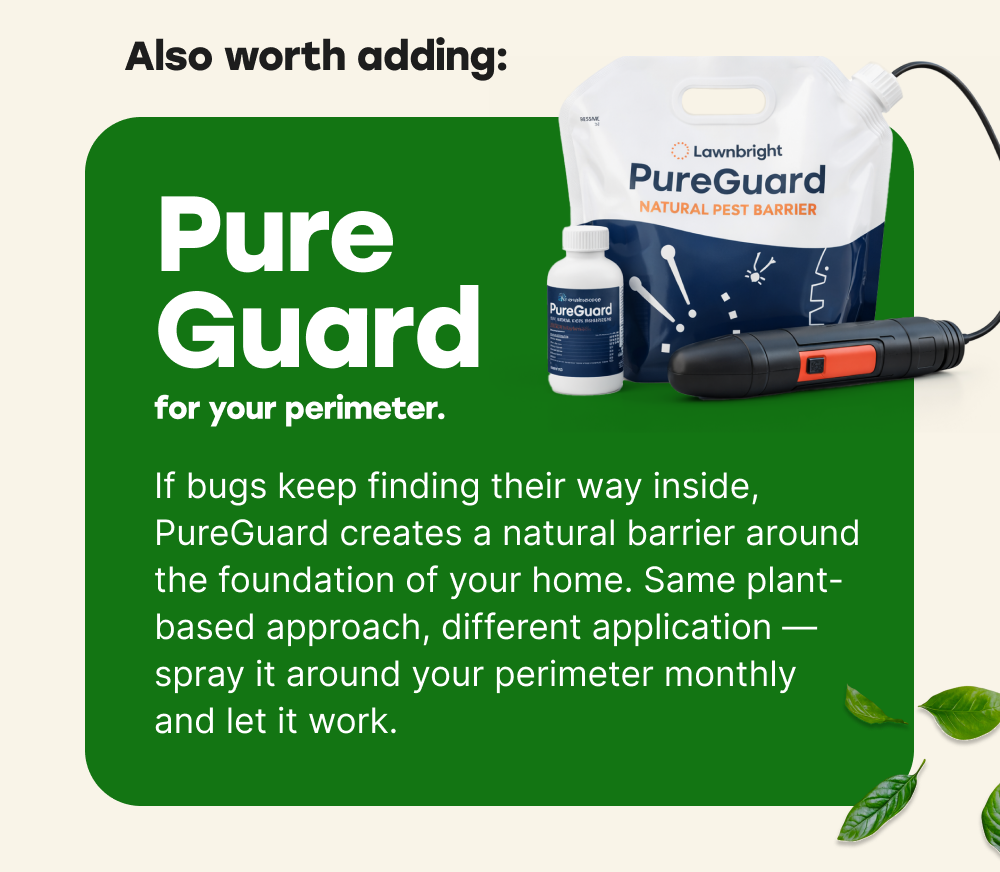 Pure Guard