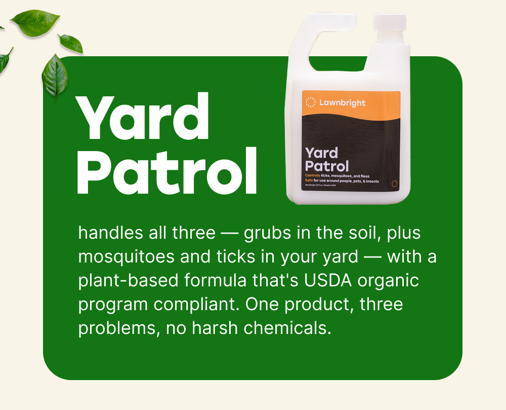 Yard Patrol