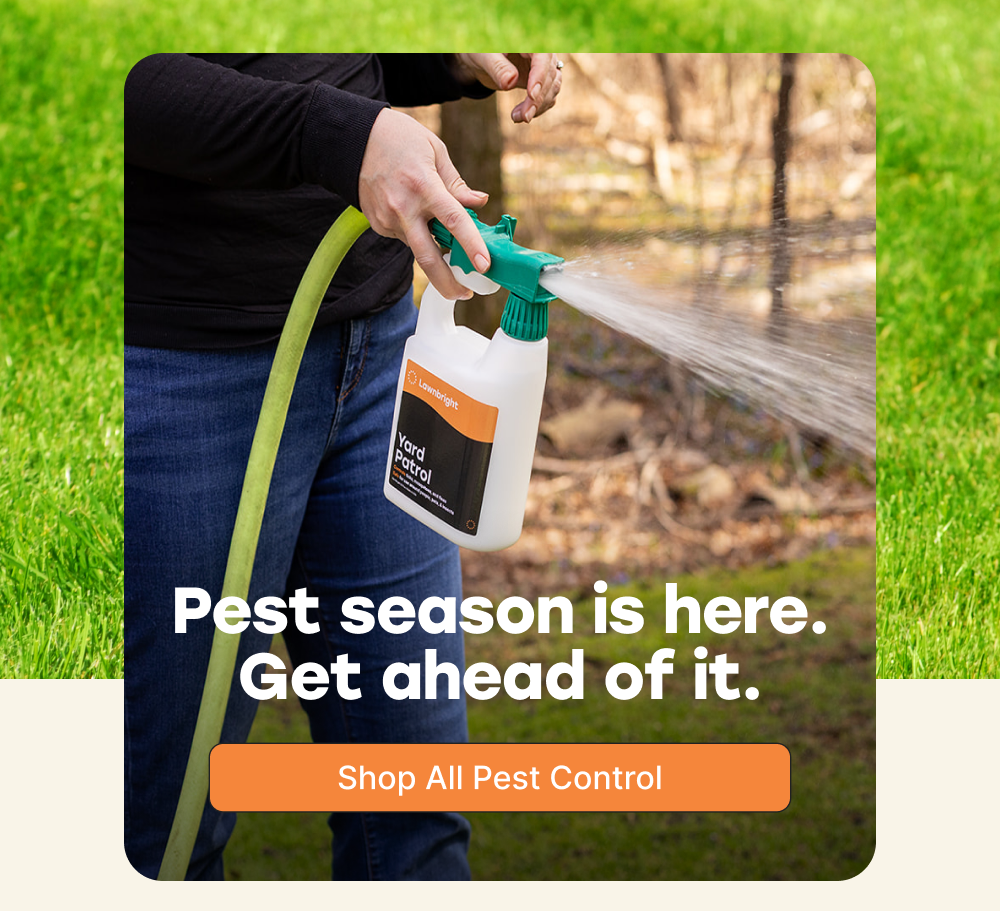 Shop All Pest Control