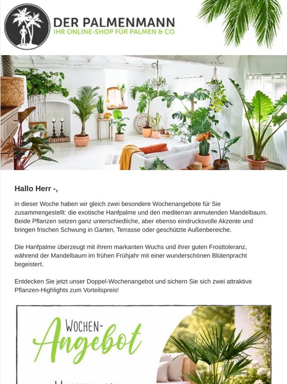 Doppel-Wochenangebot: Hanfpalme & Mandelbaum