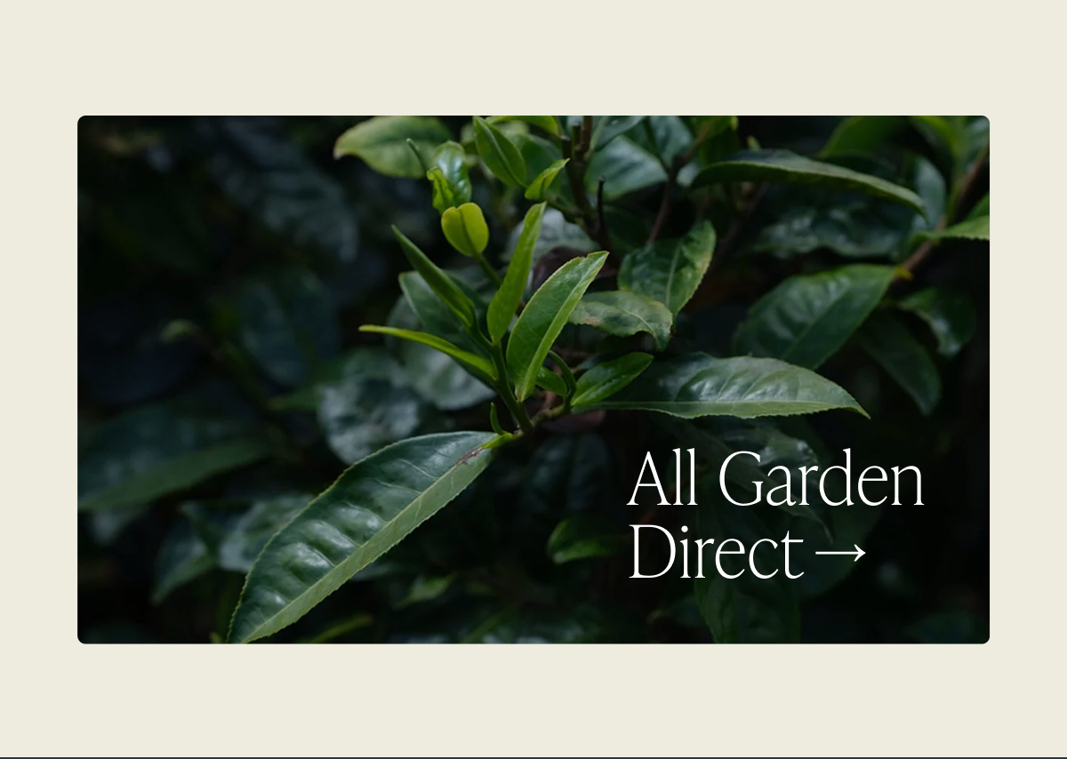 All Garden Direct