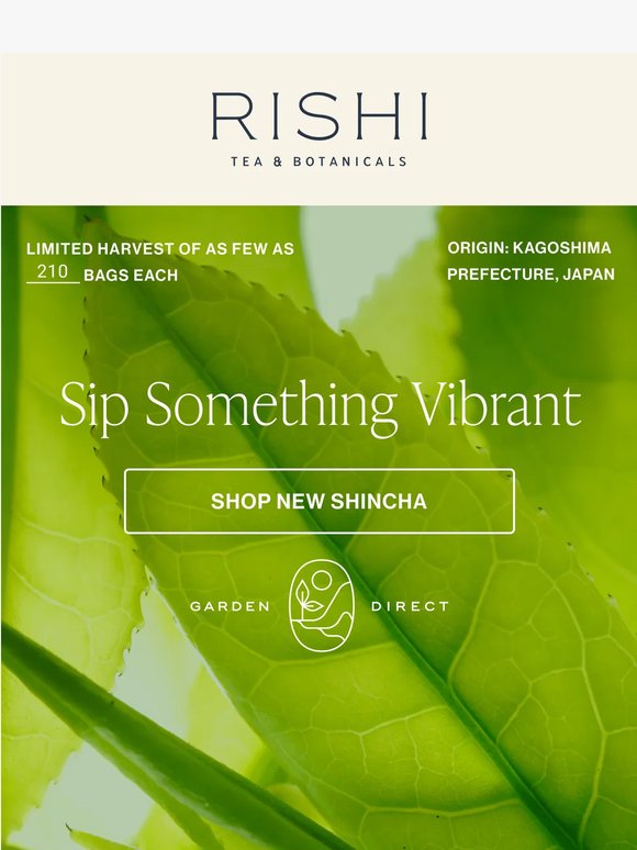 Fill Your Cup with Shincha