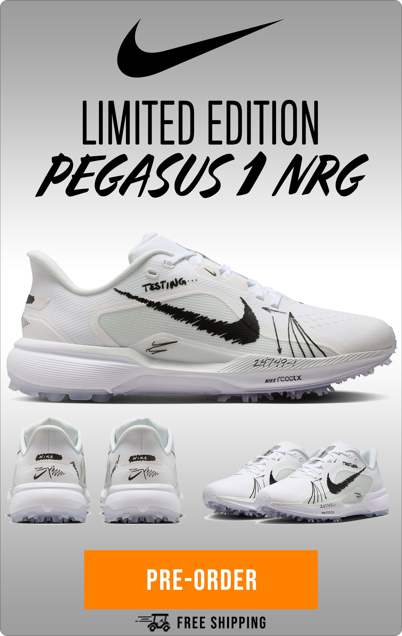Limited Edition | Nike Pegasus 1 NRG
