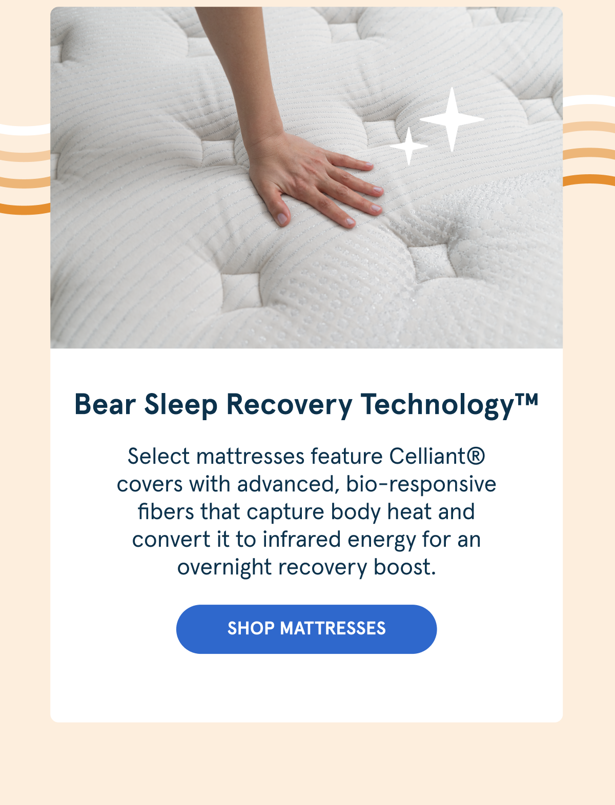 Bear Sleep Recovery Technology