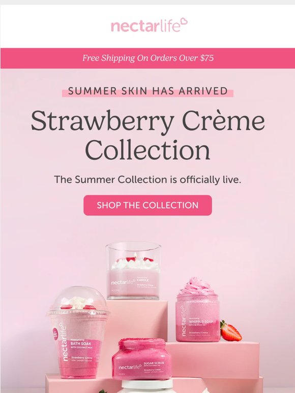 The Summer Collection is here. Start your ritual