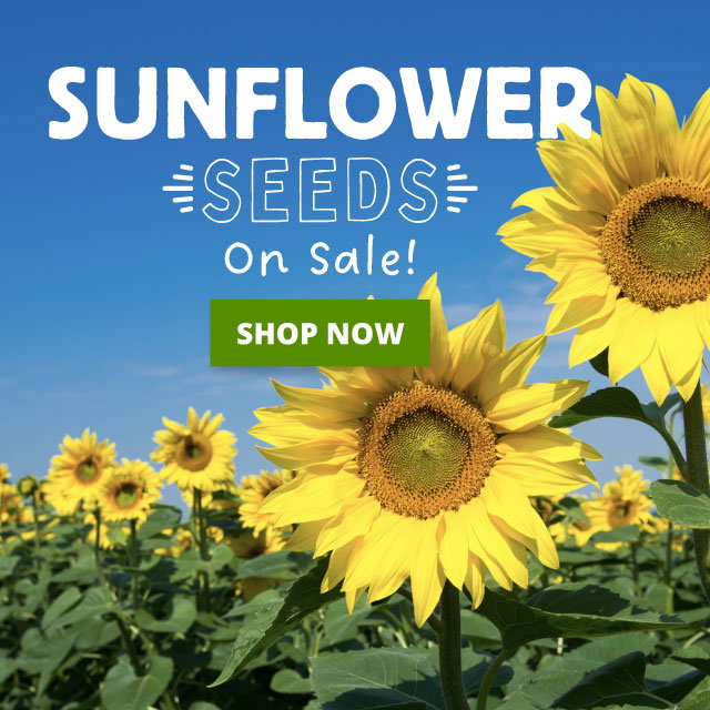 Save 20%