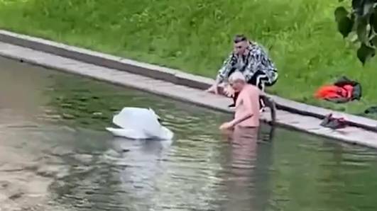 Deze man zal in het vervolg twee keer nadenken voor hij duik in vijver neemt