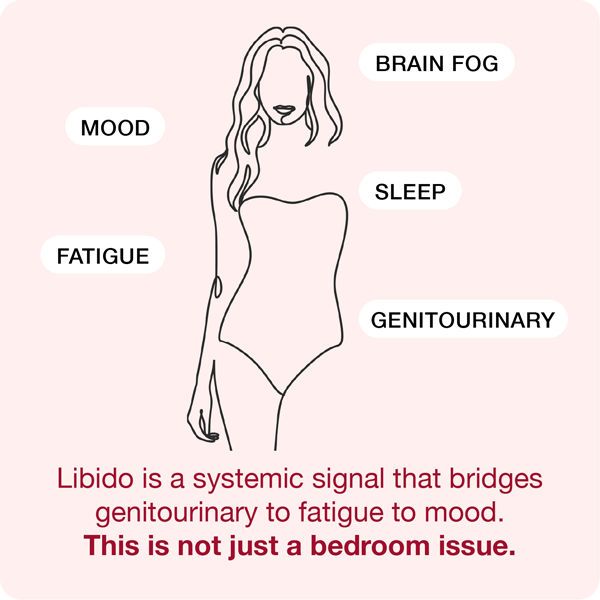 Libido is a whole-body signal. Libido is a whole-body signal.