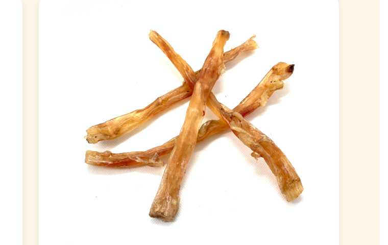Close-up of Beef Tendon Chews.