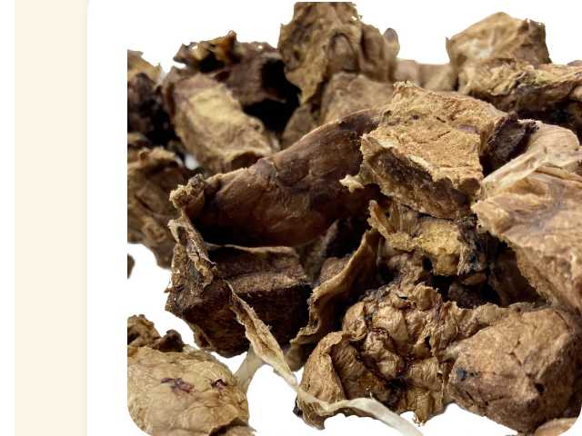 Close-up of Dehydrated Beef Lung treats.