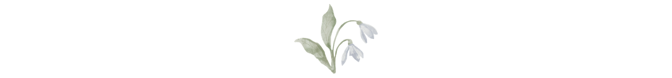 Martha Floral Illustration