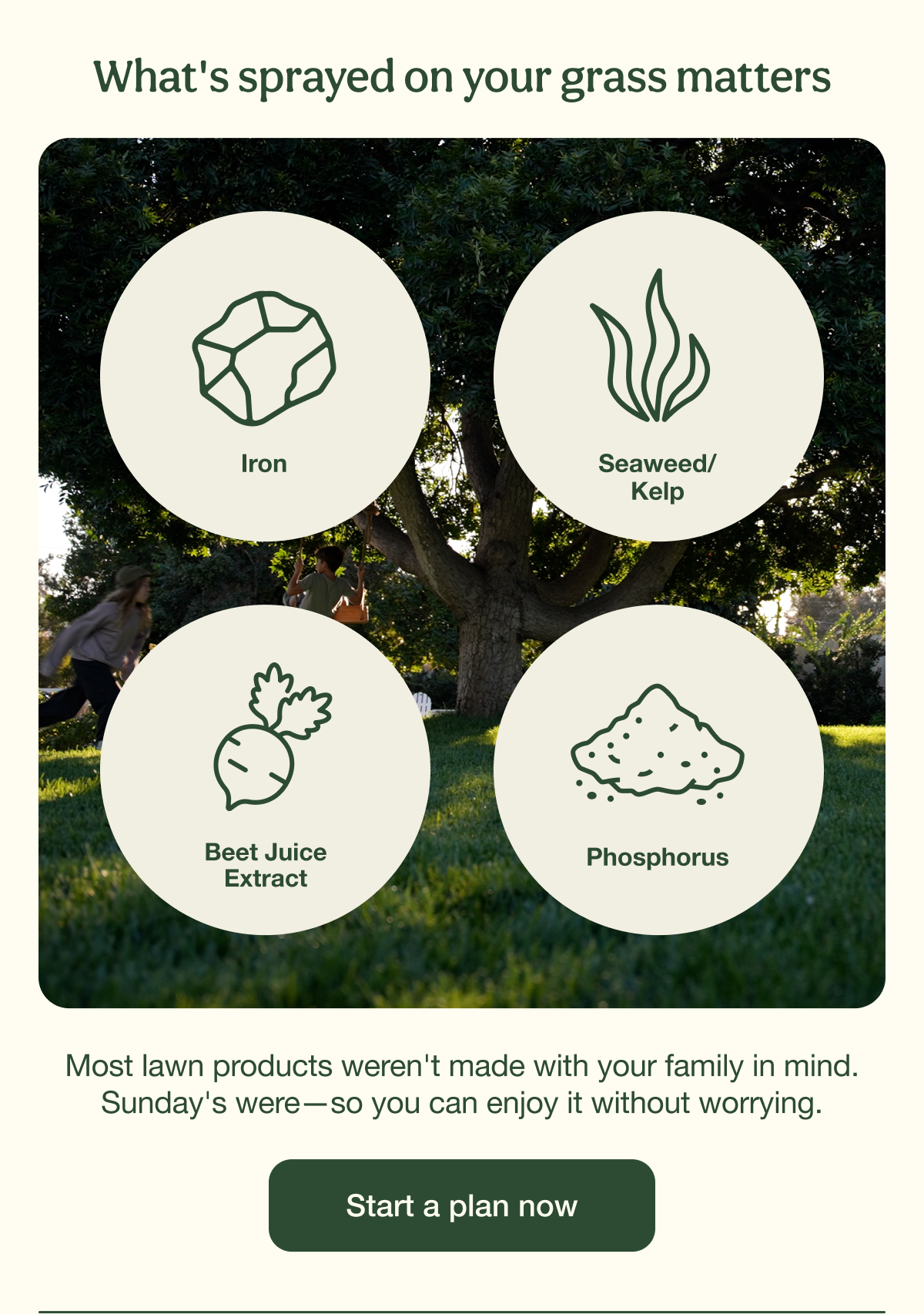 What's sprayed on your grass matters | Start a plan now
