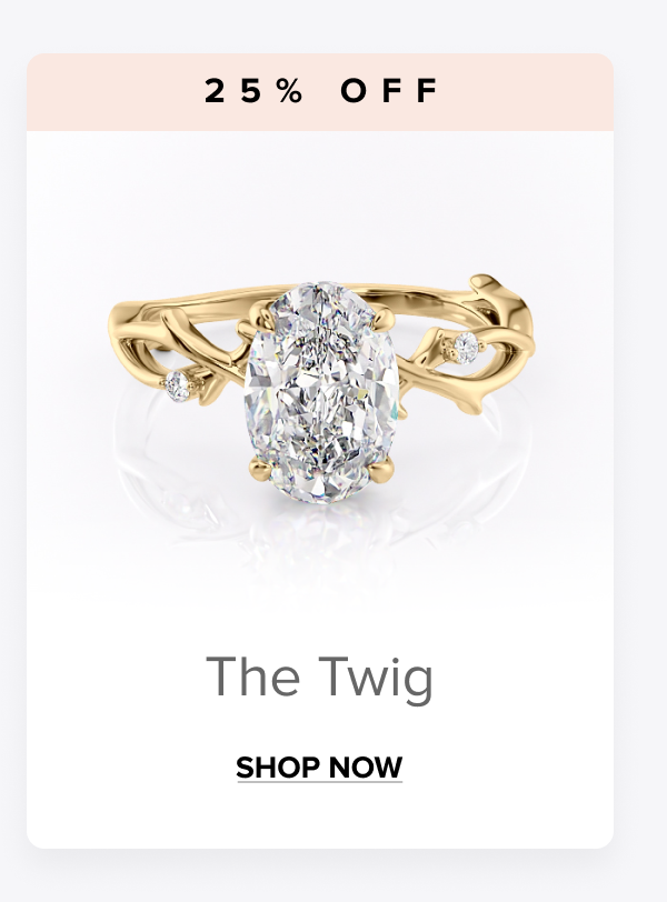 Shop The Twig 25% OFF