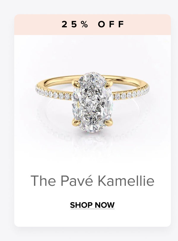 Shope The Pavé Kamellie 25% OFF