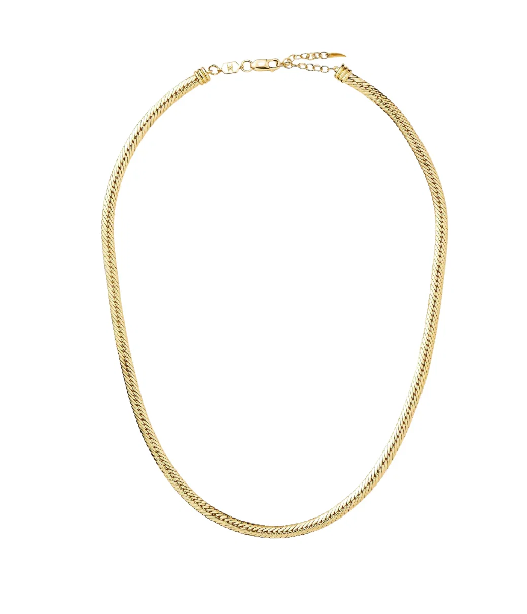 Image of Camail Chain Necklace in Gold