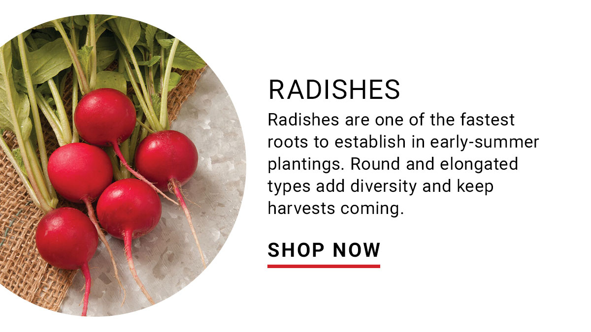 Radishes