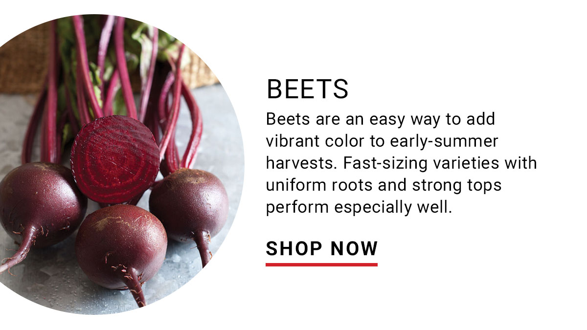 Beets