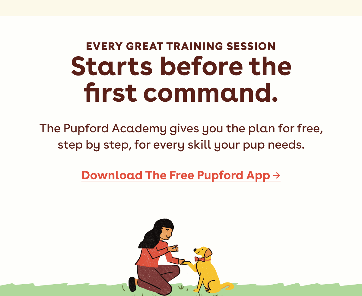 Download the free pupford app 