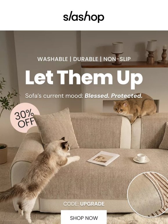 Don’t Keep Them Off the Sofa — Cover It Instead