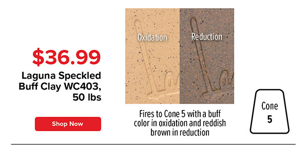 Laguna Speckled Buff Clay WC403