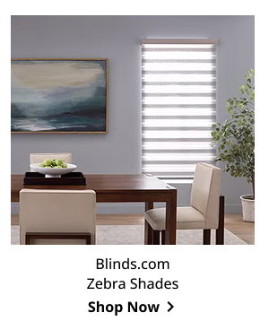 Blinds.com Zebra Shades | Shop Now >