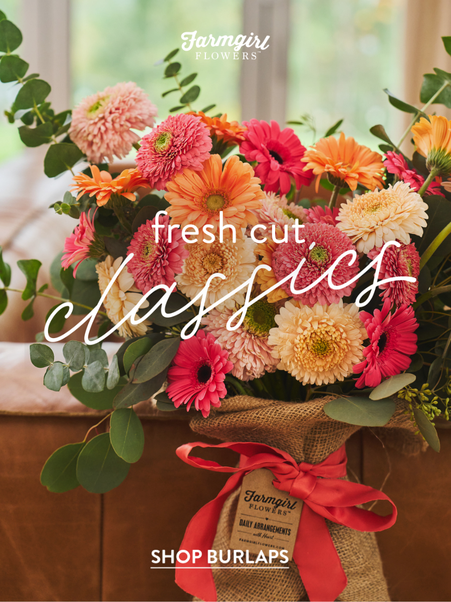 Farmgirl Flowers daisy arrangement in orange and pinks.