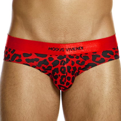 Modus Vivendi Slip Classique Léopard Rouge
