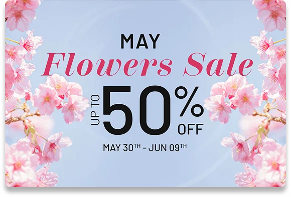May Flowers Sale! Up to 50% Off