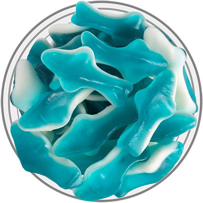 Gummy Sharks