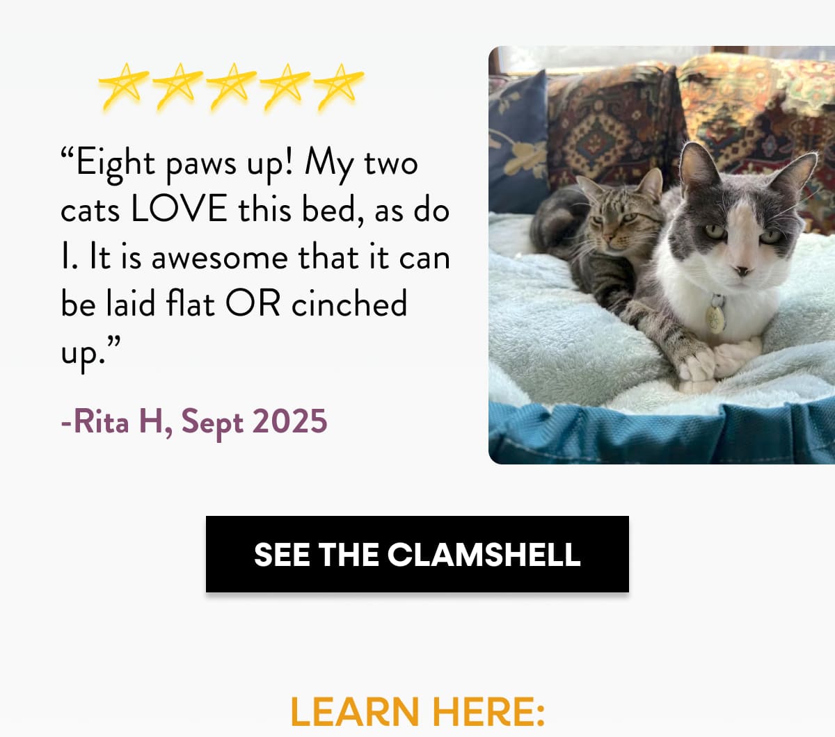 Shop the clamshell bed