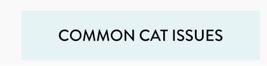 Common cat issues