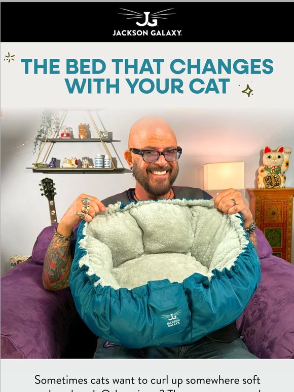 Why Cats Disappear Into This Thing