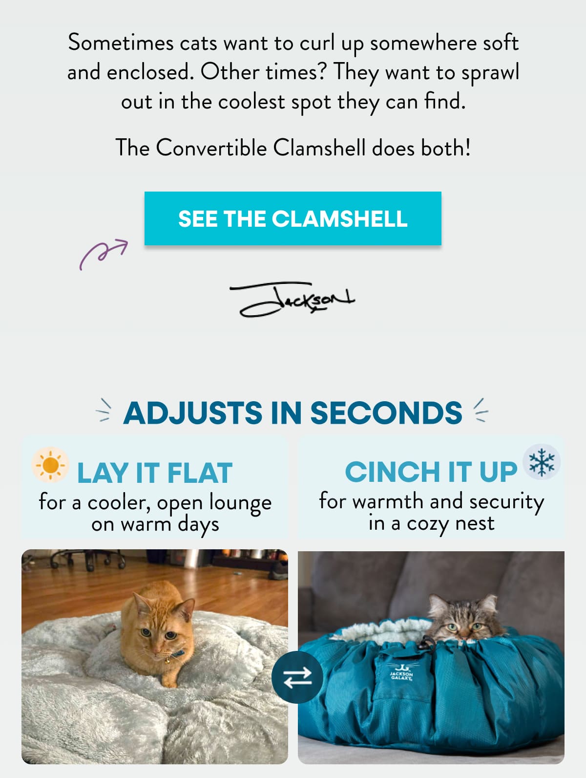 Shop the clamshell bed