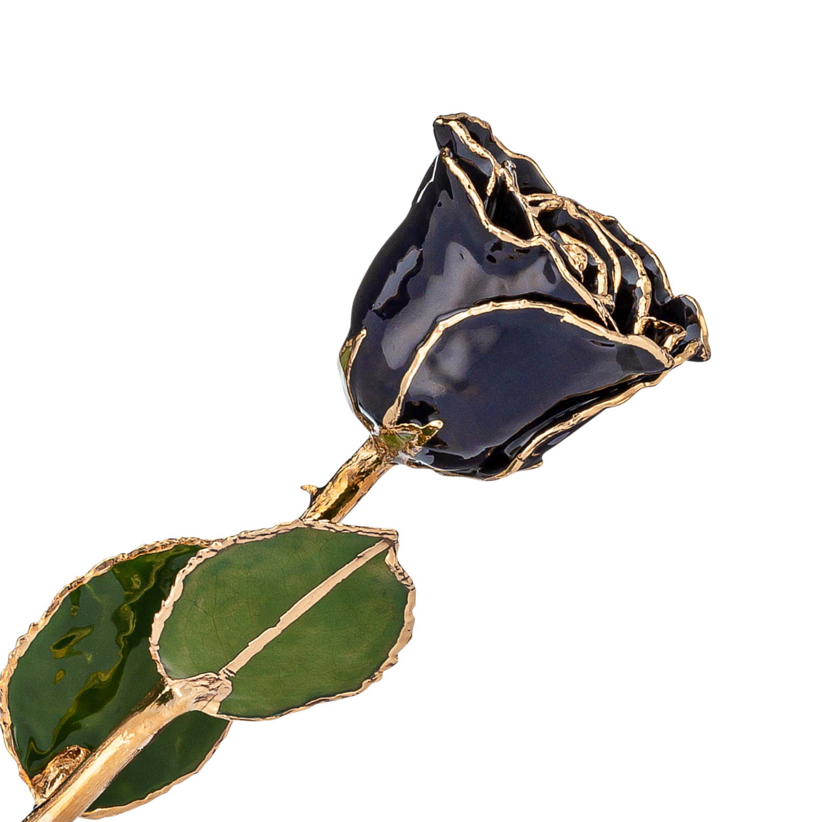 Image of 24K Gold Forever Rose - Zodiac