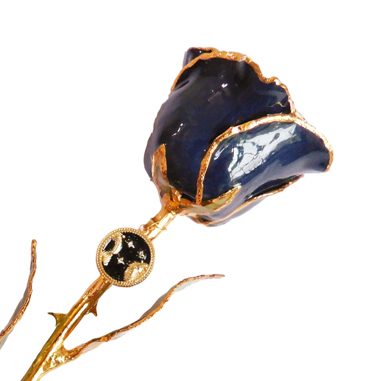 Image of 24K Gold Forever Rose - Zodiac with Pendant