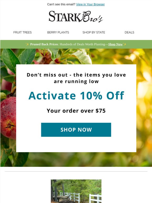 You qualify for an extra 10% off!