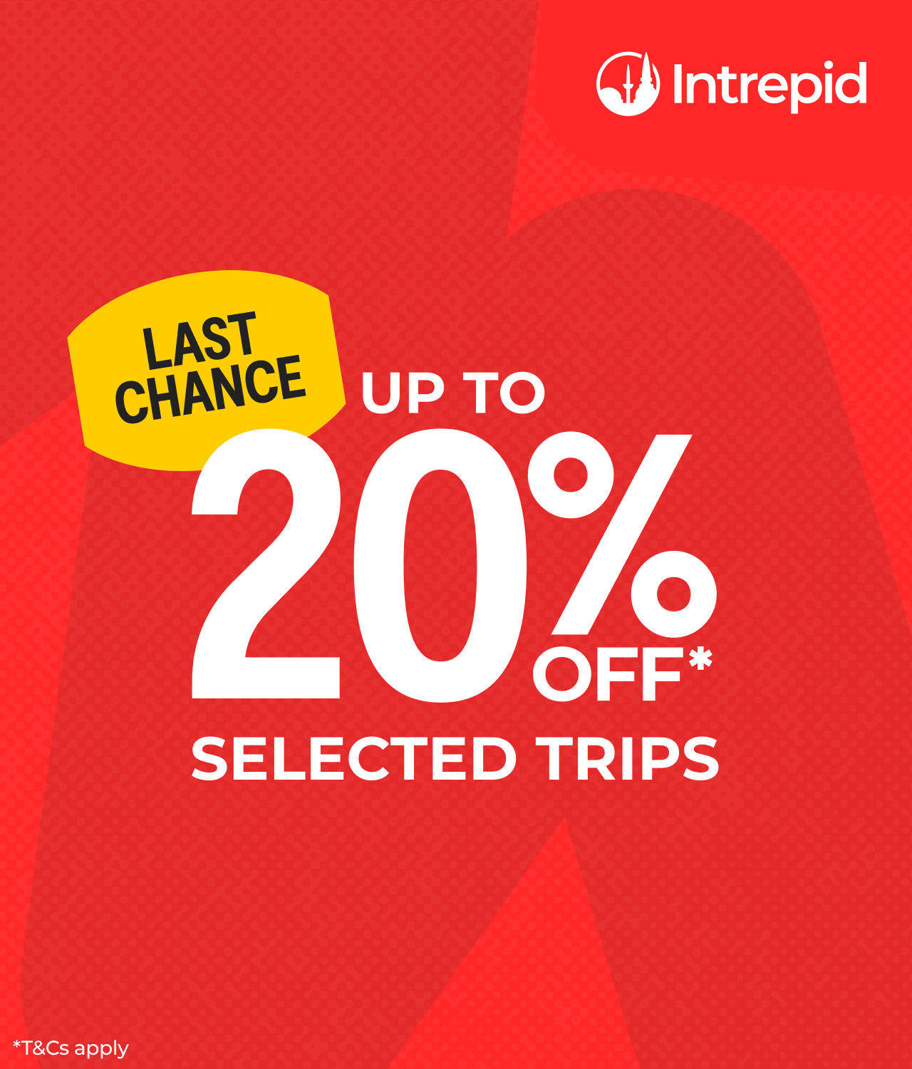 Last chance: Sale now on