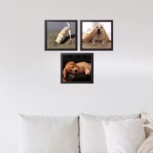 Kit 3 Quadros Pop