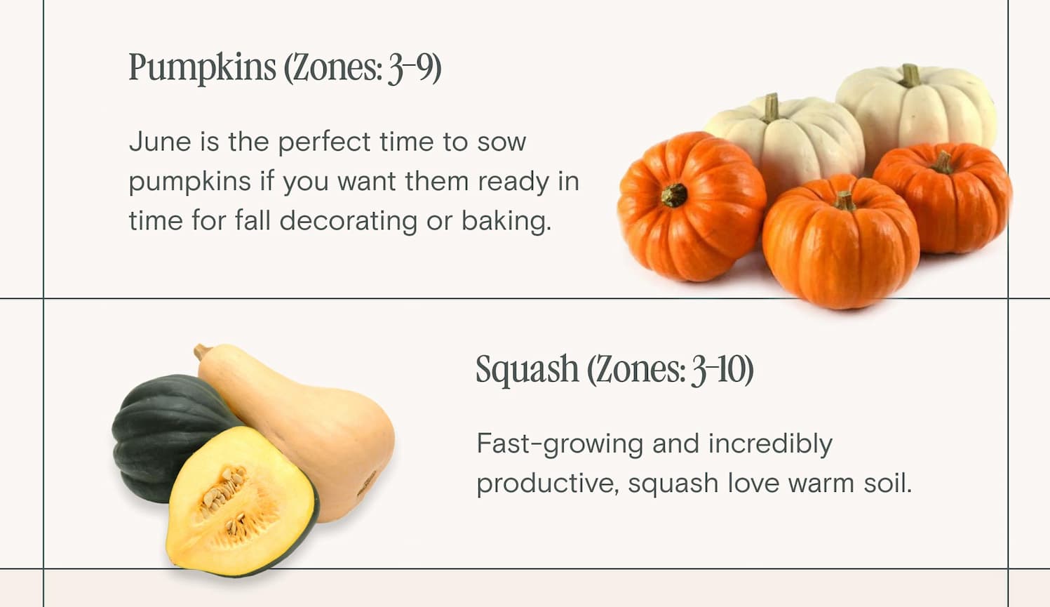 What to plant 
