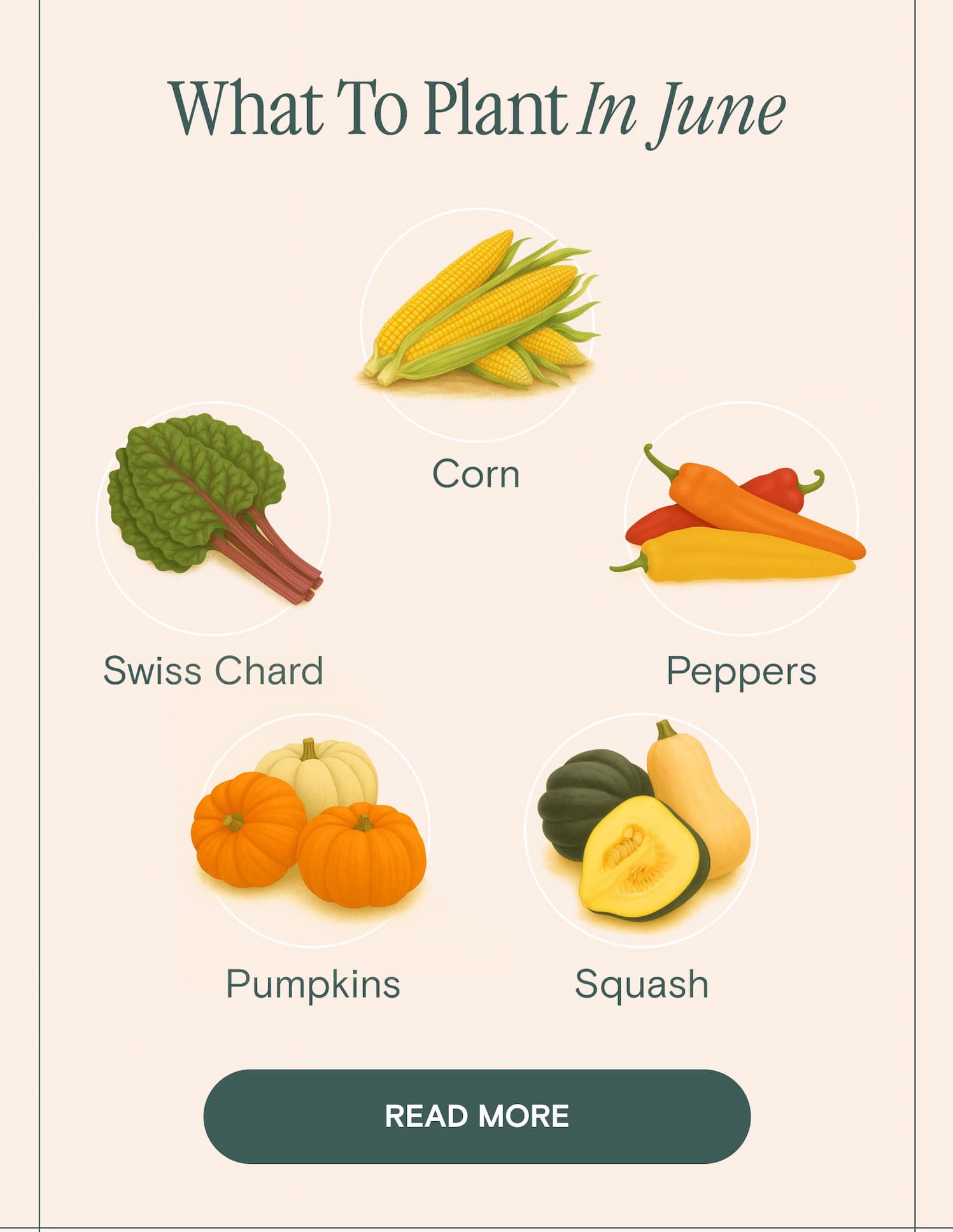 What to plant in June