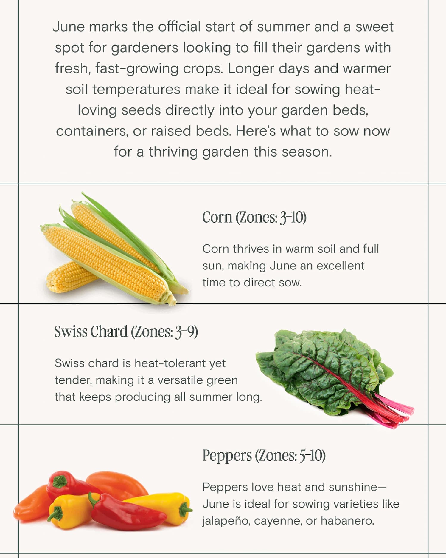 it's time to seeds that thrive 