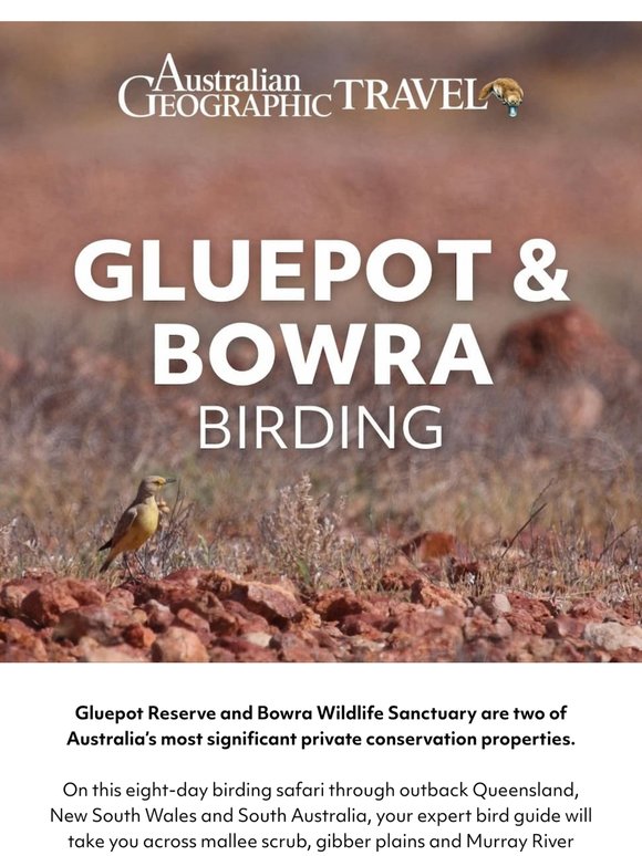 Inside BirdLife Australia & AWC's reserves: 8 days, 200+ outback birds 🦜