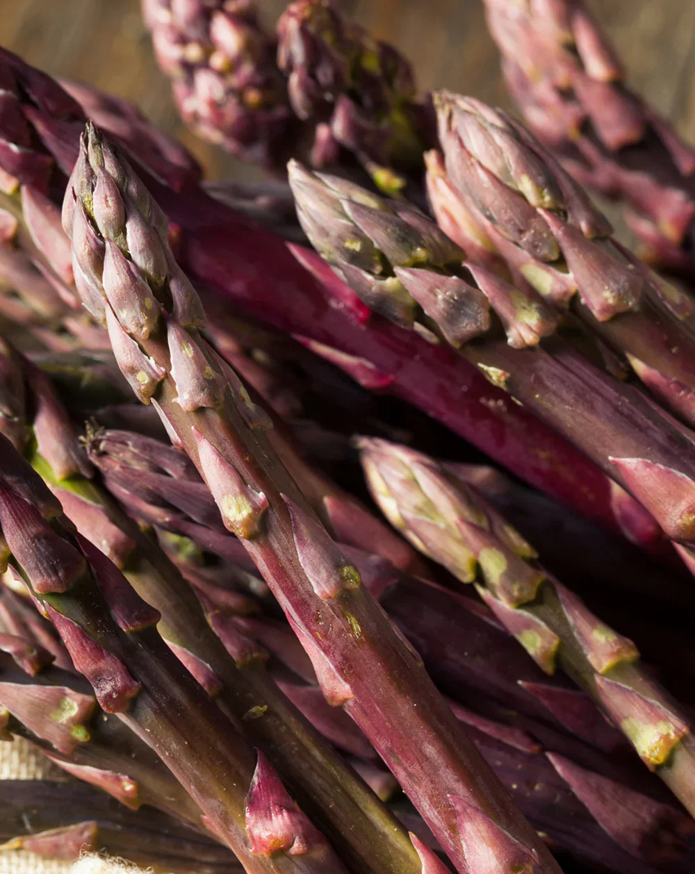 Image of Purple Passion Asparagus Crowns - 10 root divisions