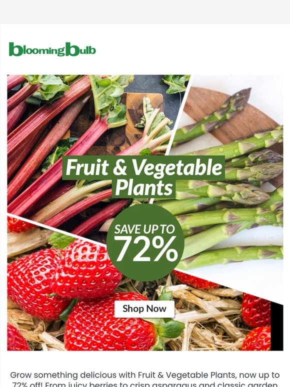 Grow Fresh Flavor for Less - Up to 72% Off