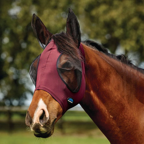 Summer Fly Protection for Horses