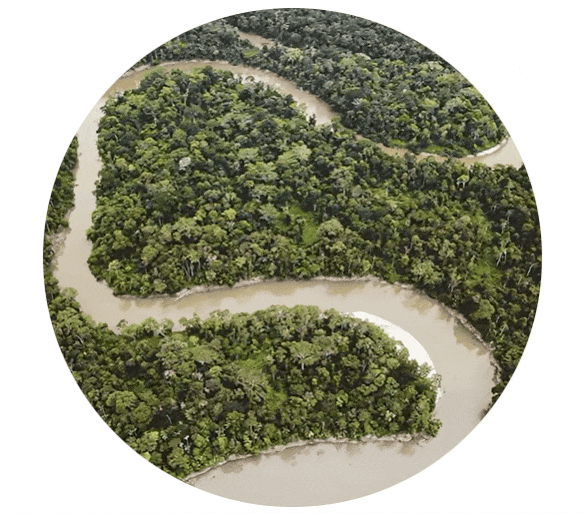 Sustainability