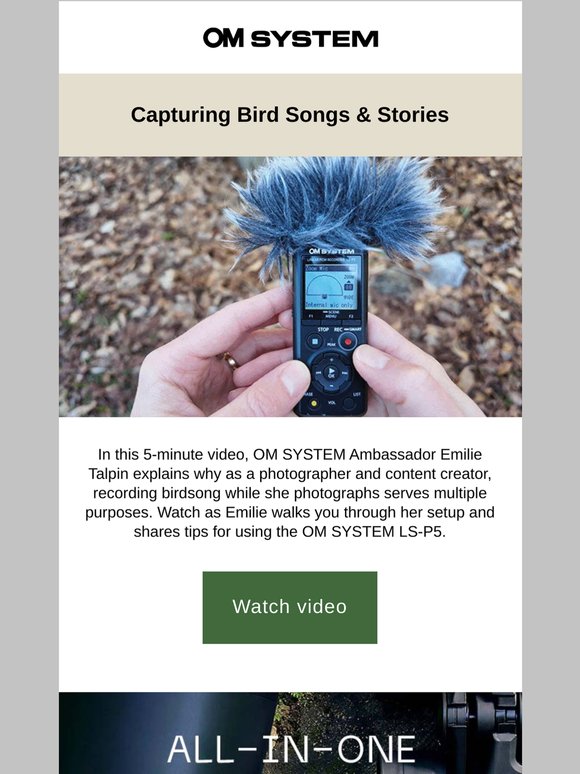 How to Capture Bird Songs & Stories