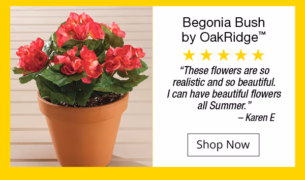 Begonia Bush by OakRidge™