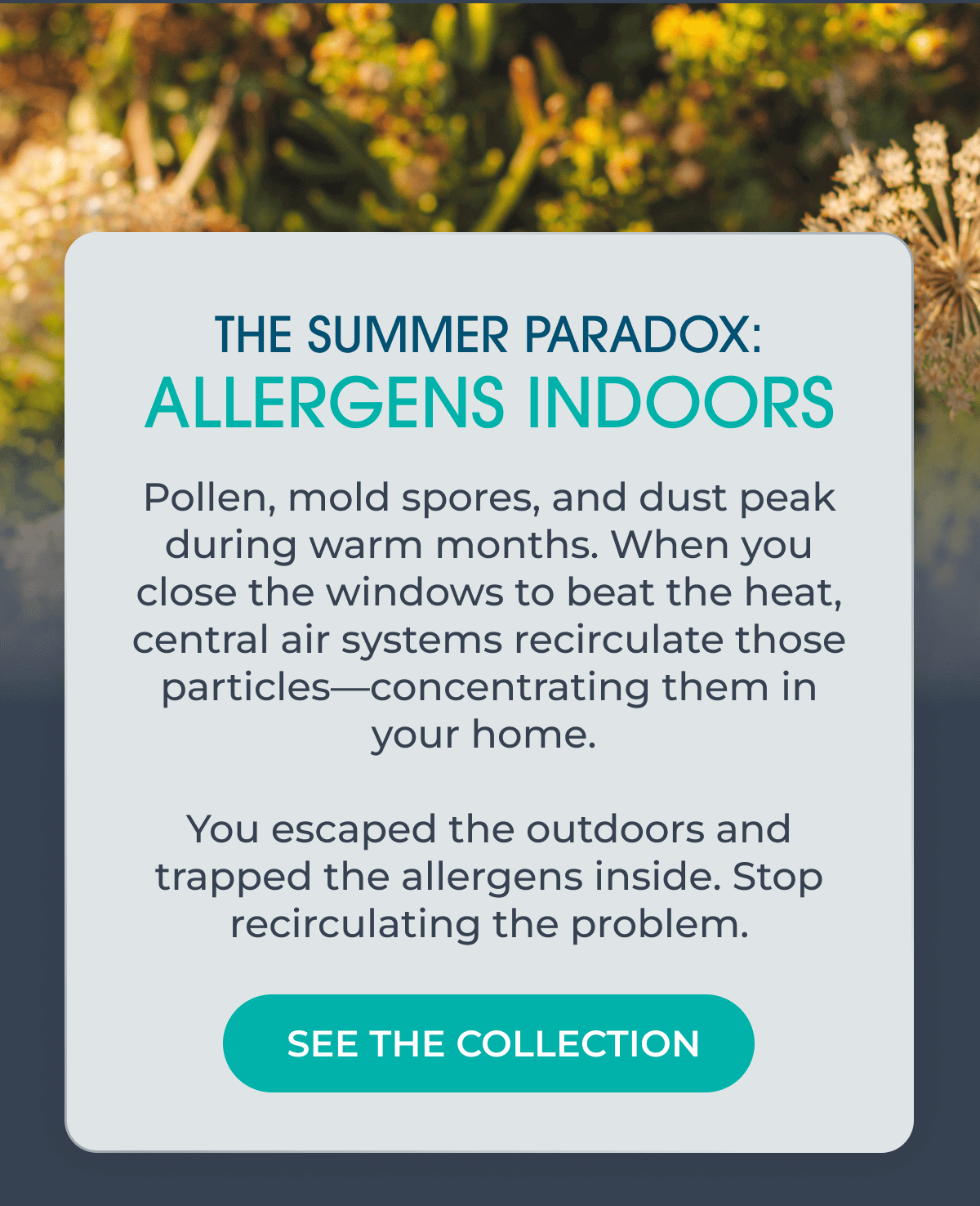 The Summer Paradox: Allergens Indoors. See the collection
