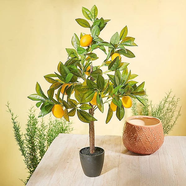 69239 Amalfi Faux Lemon Tree £59.00